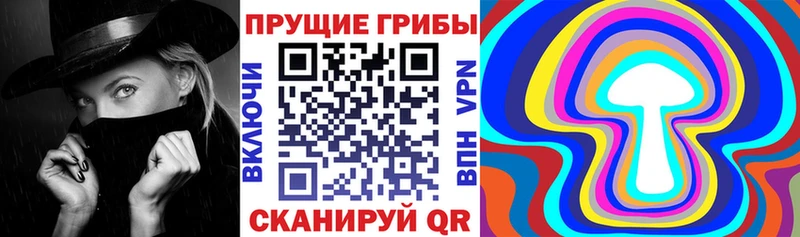 Псилоцибиновые грибы прущие грибы  цены   Североморск 
